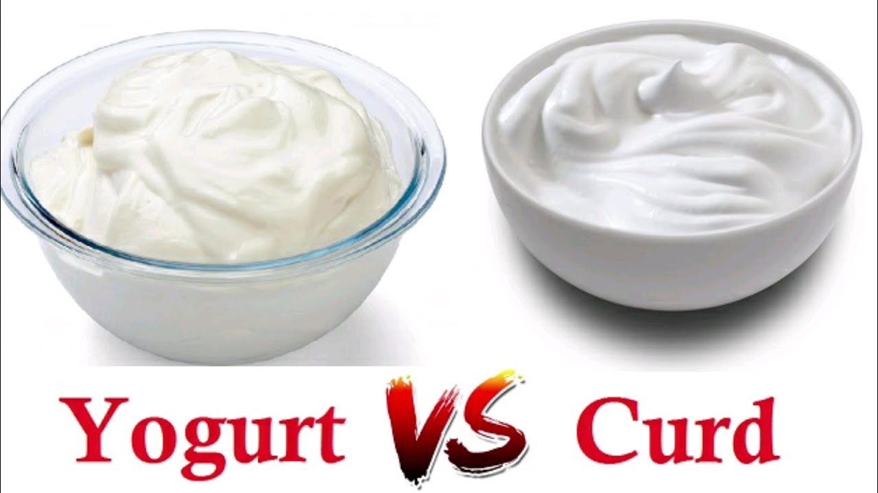 curd vs yogurt